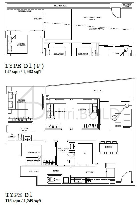 1 CANBERRA D1 floorplan (watermarked)