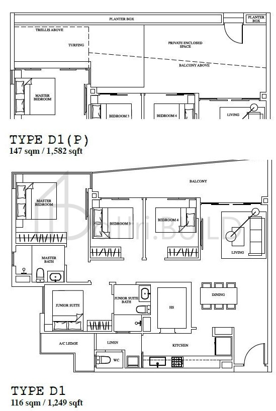 1 CANBERRA D1(P) floorplan (watermarked)